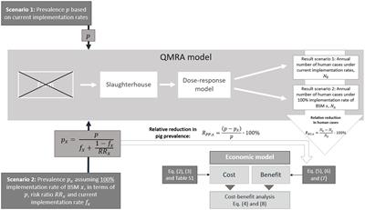 Identification of cost-effective biosecurity measures to reduce Salmonella along the pork production chain